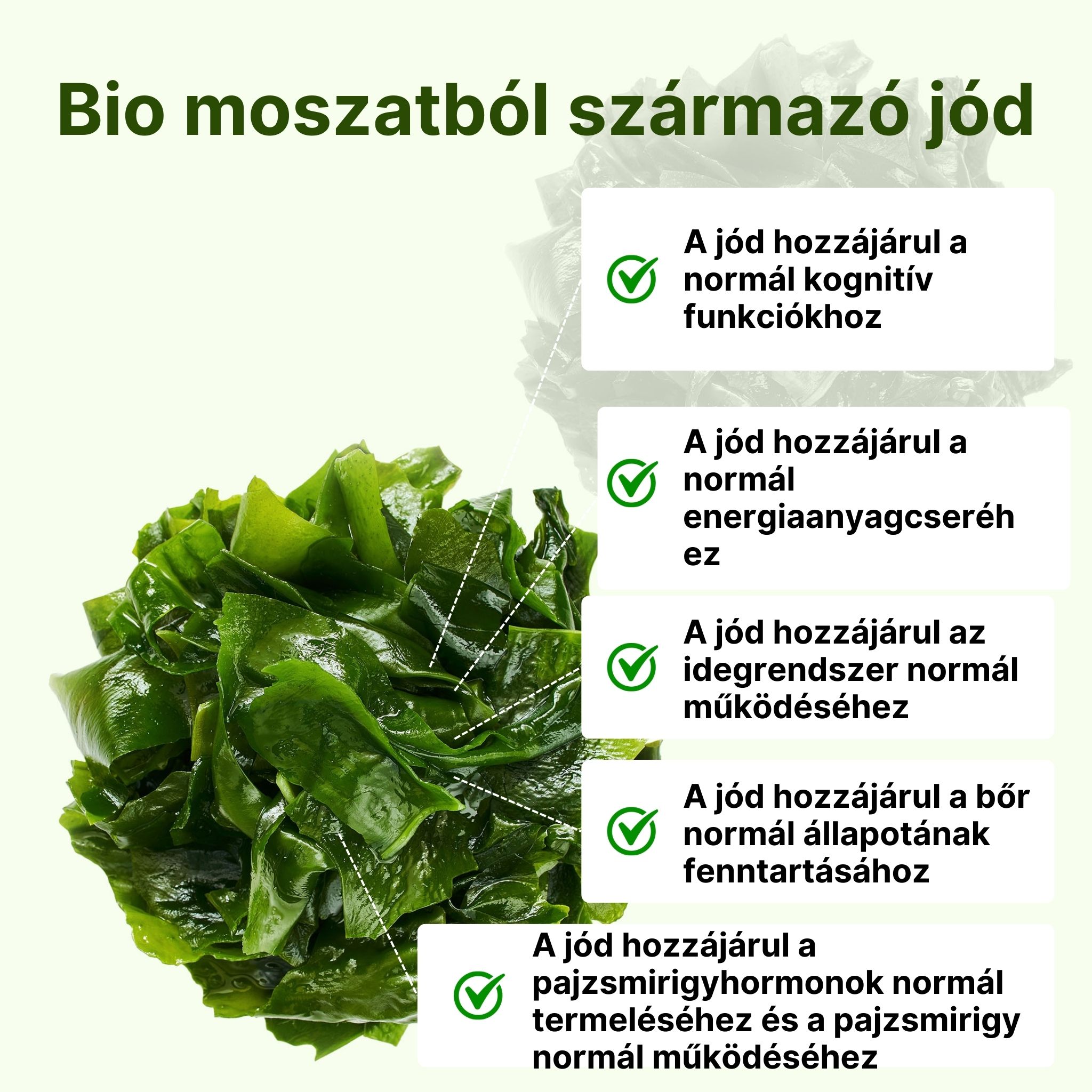 (Maďarština) (93)